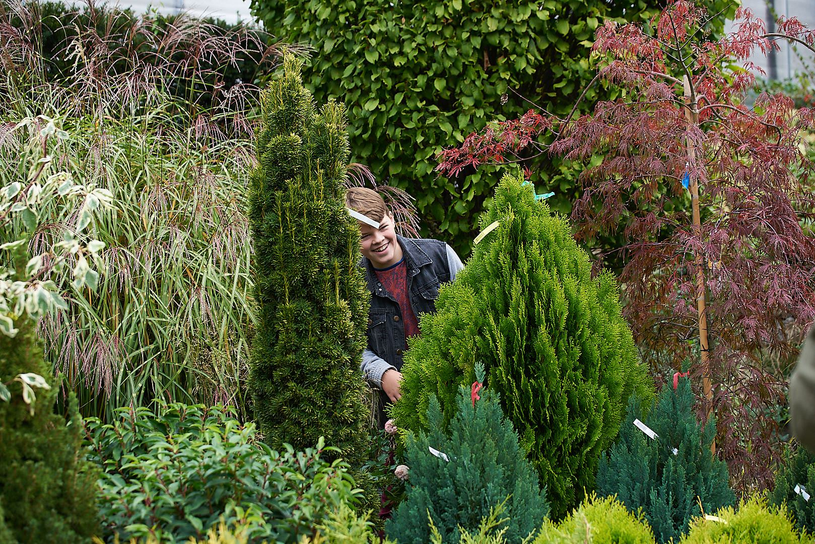 Családi kertészet blog