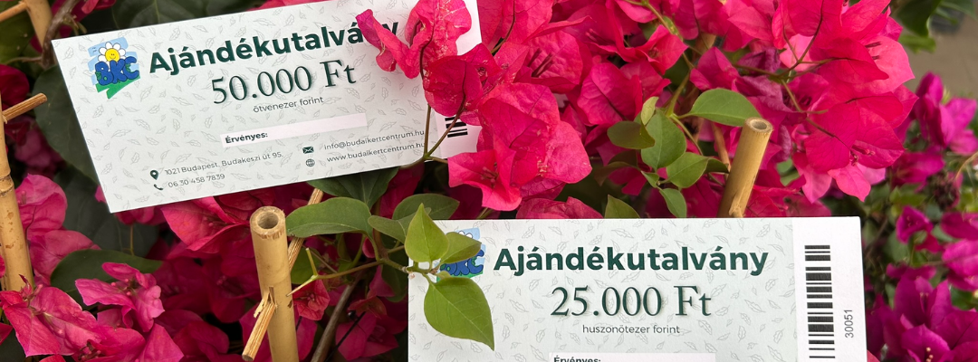 A vásárlási utalvány kreatív ajándékötlet kertbarátoknak